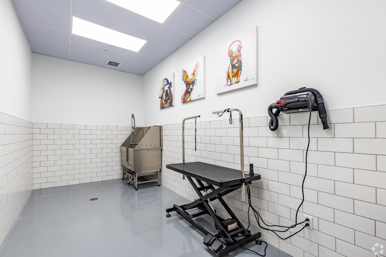 Radius Apartments pet spa washing station - Orlando, FL